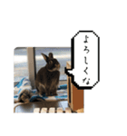 会話にピッタリ！げんまいLINEスタンプ（個別スタンプ：12）