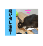 会話にピッタリ！げんまいLINEスタンプ（個別スタンプ：18）