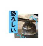 会話にピッタリ！げんまいLINEスタンプ（個別スタンプ：23）