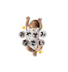 Sweet Baby ＆ Cats（個別スタンプ：9）
