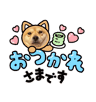 コチュのスタンプ4（個別スタンプ：32）