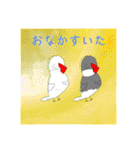 ピーぴよちゃんのスタンプ文鳥第2段（個別スタンプ：1）