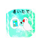 ピーぴよちゃんのスタンプ文鳥第2段（個別スタンプ：19）