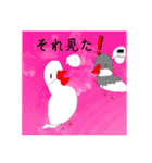 ピーぴよちゃんのスタンプ文鳥第2段（個別スタンプ：30）