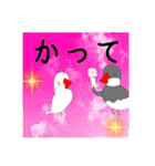 ピーぴよちゃんのスタンプ文鳥第2段（個別スタンプ：38）