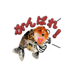 kiirobanagoldfish vol.2（個別スタンプ：1）