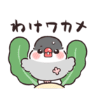 ふんわり文鳥さんのダジャレ（個別スタンプ：21）