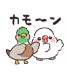 ふんわり文鳥さんのダジャレ（個別スタンプ：24）