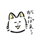 感情表現ねこ2(公開)（個別スタンプ：17）