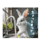 飛び出す！リアルうさたち（個別スタンプ：19）