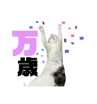 ぽんてこぷい日常（個別スタンプ：2）