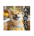 柴犬ママ【日常編】（個別スタンプ：3）