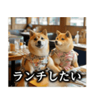 柴犬ママ【日常編】（個別スタンプ：11）