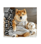 柴犬ママ【日常編】（個別スタンプ：16）