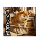 柴犬ママ【日常編】（個別スタンプ：20）