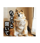 柴犬ママ【日常編】（個別スタンプ：27）