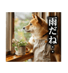 柴犬ママ【日常編】（個別スタンプ：30）