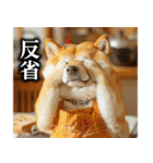 柴犬ママ【日常編】（個別スタンプ：34）