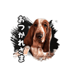 My buddy Leon（個別スタンプ：4）