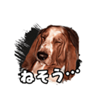 My buddy Leon（個別スタンプ：8）