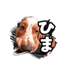 My buddy Leon（個別スタンプ：11）