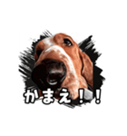 My buddy Leon（個別スタンプ：12）