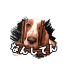 My buddy Leon（個別スタンプ：13）