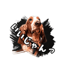 My buddy Leon（個別スタンプ：14）
