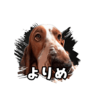 My buddy Leon（個別スタンプ：16）