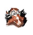 My buddy Leon（個別スタンプ：18）