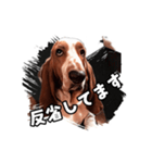 My buddy Leon（個別スタンプ：19）