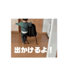 1歳児の戯れ（個別スタンプ：3）