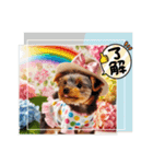 愛犬で作る日常使いスタンプ①（個別スタンプ：9）