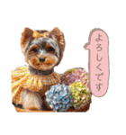 愛犬で作る日常使いスタンプ①（個別スタンプ：16）