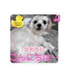 めりる20240517（個別スタンプ：2）