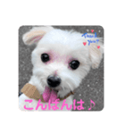 めりる20240517（個別スタンプ：3）