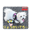 めりる20240517（個別スタンプ：7）