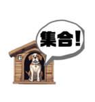 ボス犬のケンさん（個別スタンプ：6）