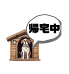 ボス犬のケンさん（個別スタンプ：12）