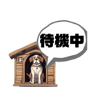 ボス犬のケンさん（個別スタンプ：13）