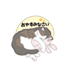 ねこってかわいい...（個別スタンプ：12）