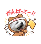 ⭐︎マリーちゃん⭐︎（個別スタンプ：16）