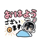 黒ポメのベルPart4（個別スタンプ：6）