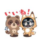 黒ポメのベルPart4（個別スタンプ：11）
