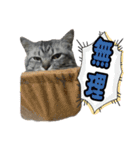 Reyくんと仲間たち（個別スタンプ：3）