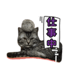 Reyくんと仲間たち（個別スタンプ：9）