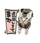Reyくんと仲間たち（個別スタンプ：12）