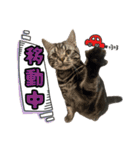 Reyくんと仲間たち（個別スタンプ：17）