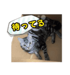 Reyくんと仲間たち（個別スタンプ：18）