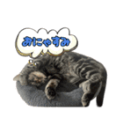 Reyくんと仲間たち（個別スタンプ：23）